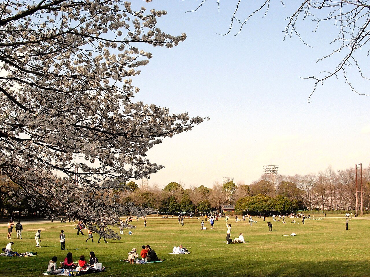 生活資源のイメージ：城北中央公園の緑地。2010年のアーカイブ写真であり、南口再開発の完成図ではない。Photo: Koujigenba / CC BY-SA 3.0。
