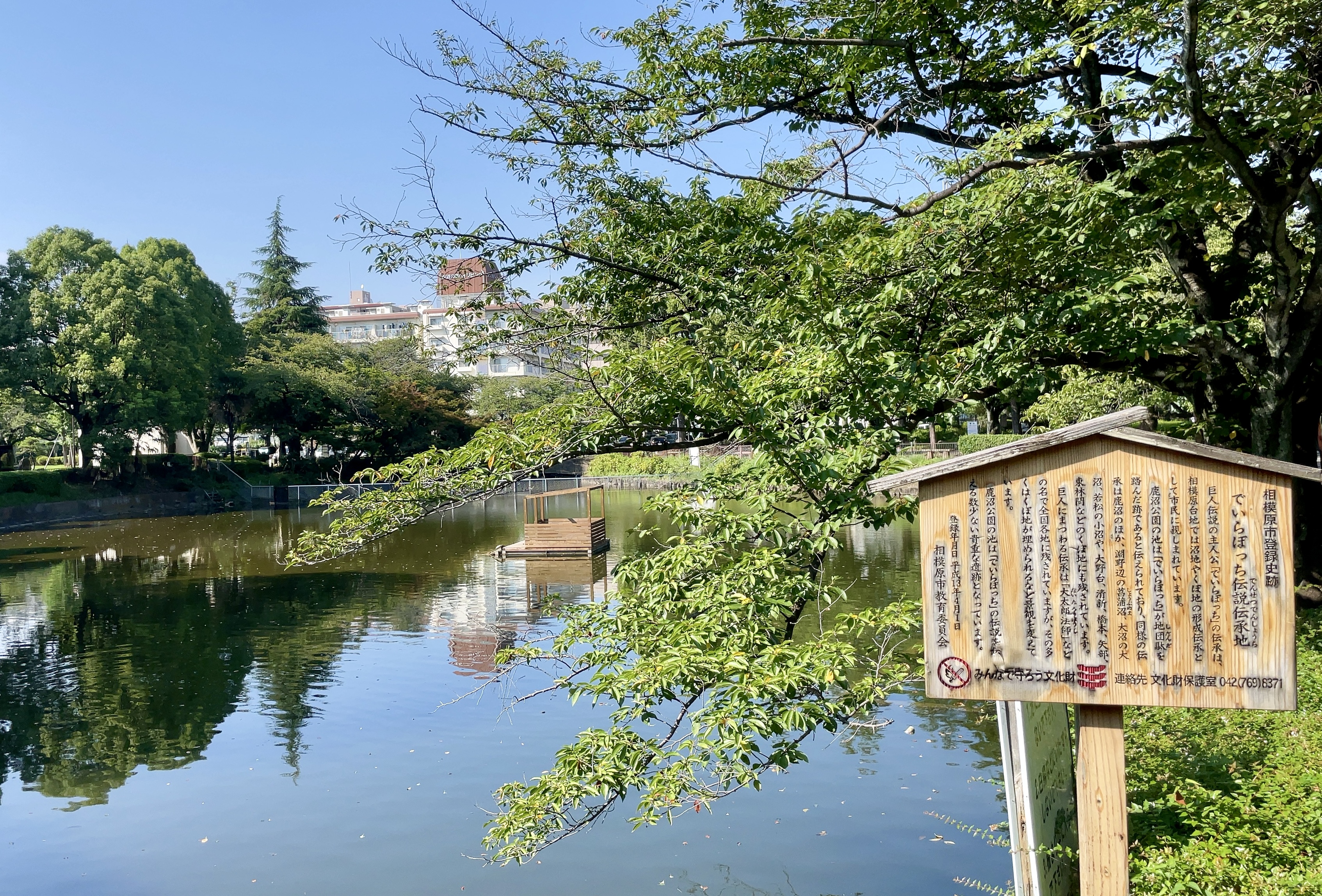 鹿沼公園・白鳥池、2022年の実景。現行の工事現場ではない