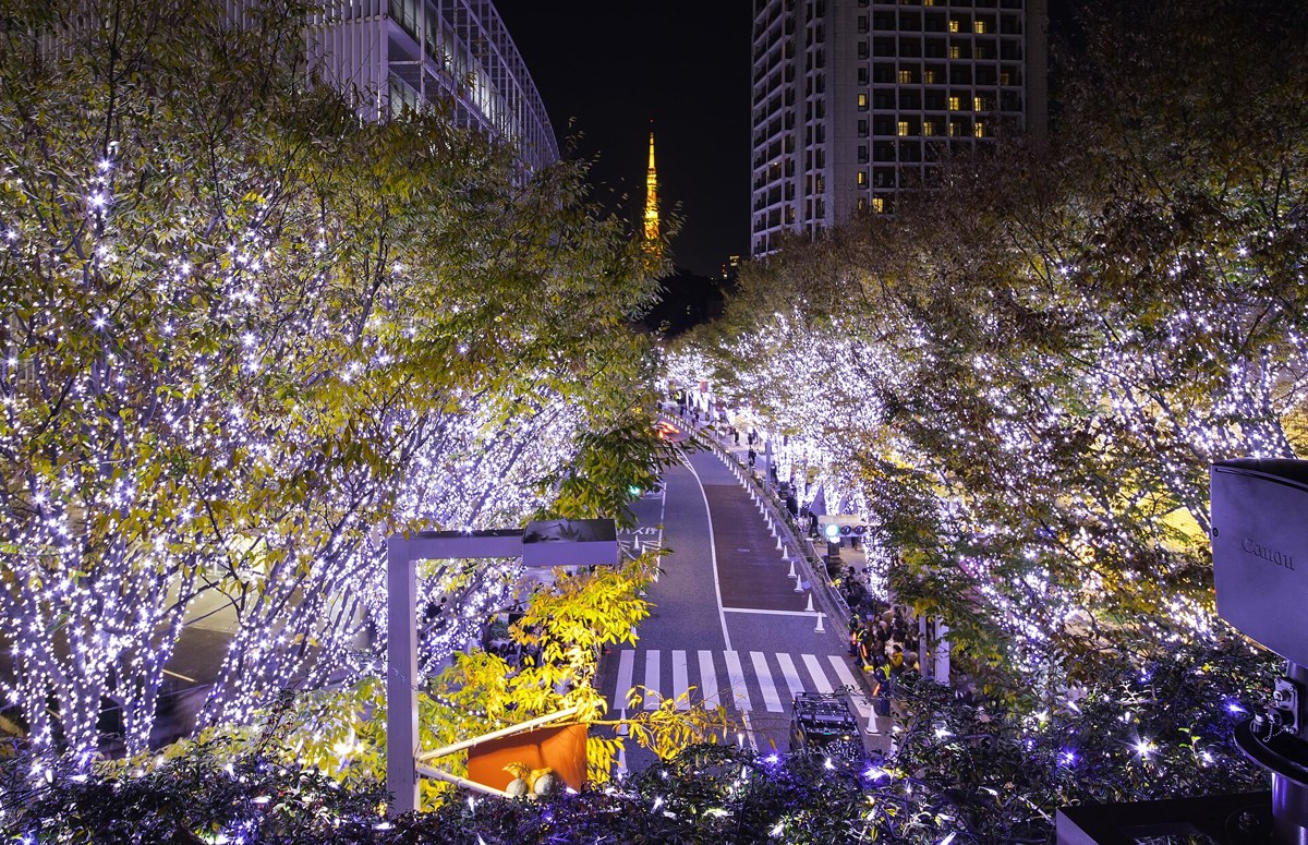 Existing Keyakizaka Street at Roppongi Hills with winter 2024 illumination.