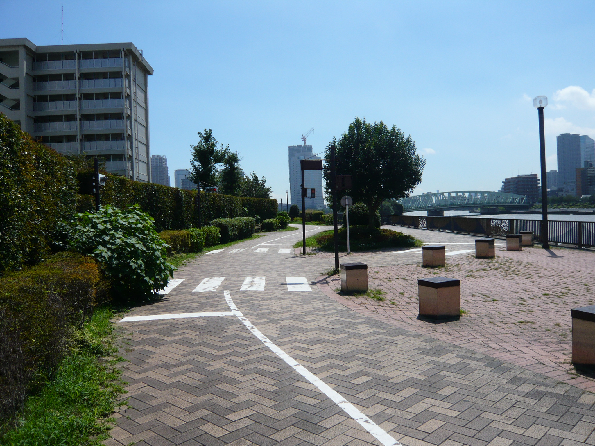 越中島公園の水辺環境（過去の実景）