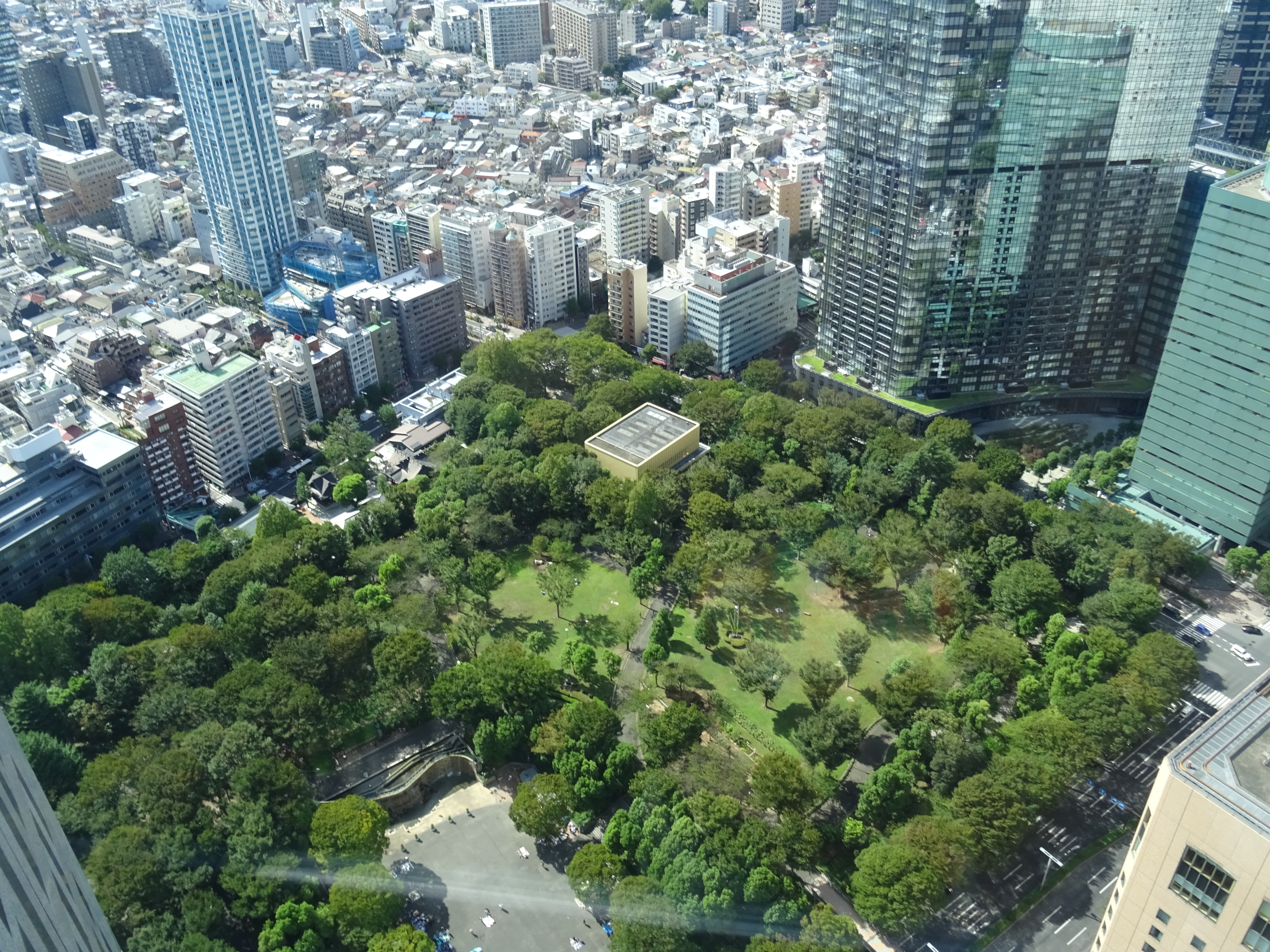 東京都庁から俯瞰した新宿中央公園と西側住宅街の2018年実景