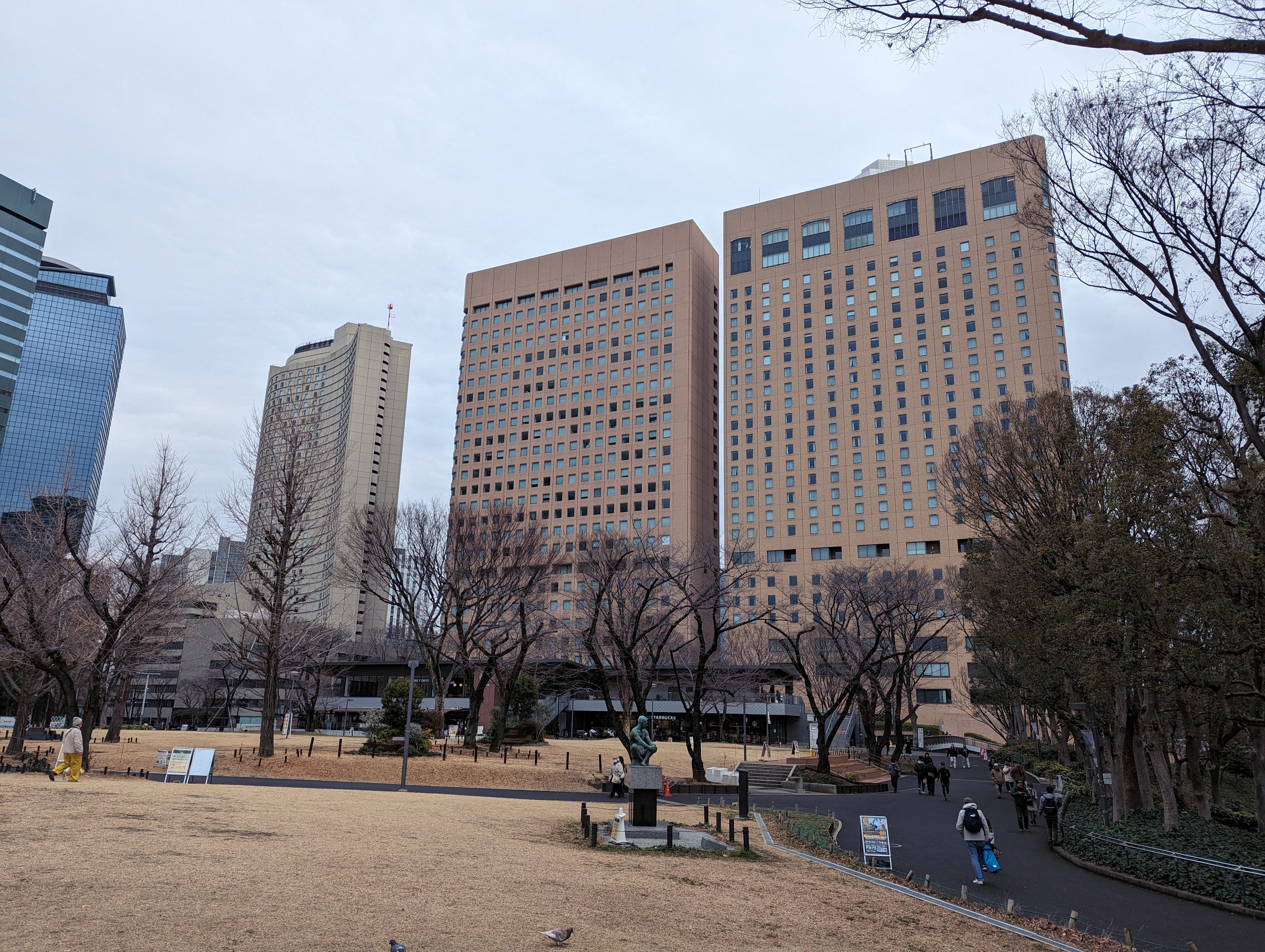 新宿中央公園 2024年の実景