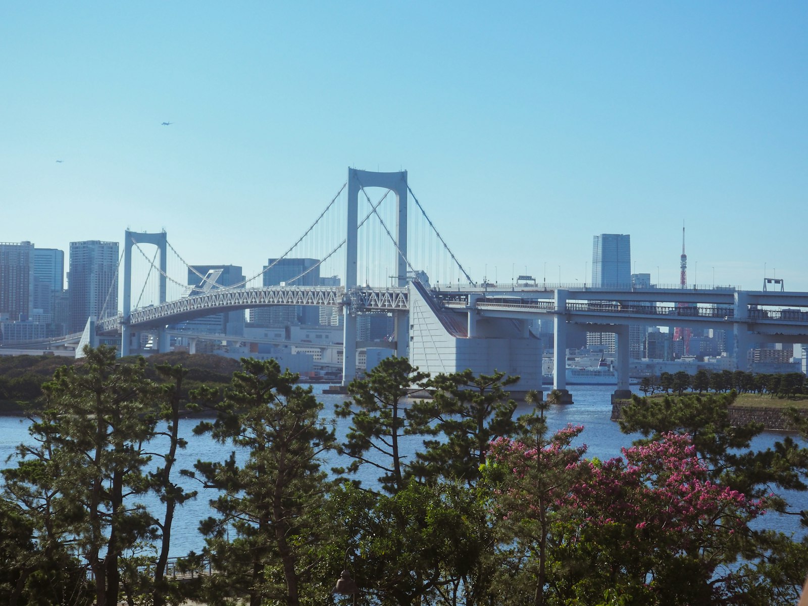 東京湾沿岸とレインボーブリッジを望む都市の遠景