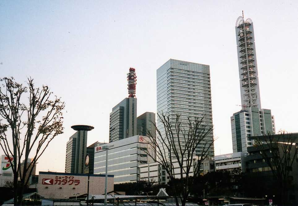 四、成本上行与市场分化：如何避开"隐形账单"